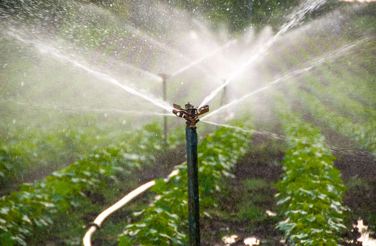 Sprinkler Irrigation